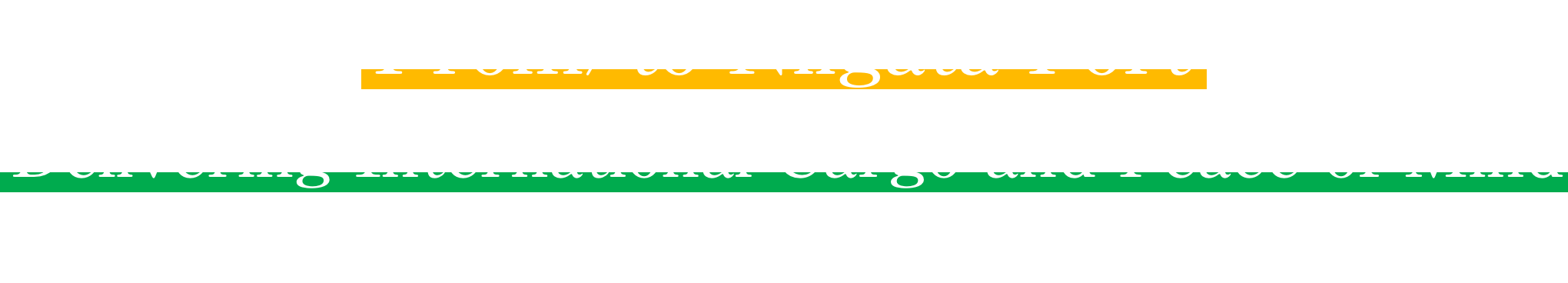 From/to Niigata Port Delivering International Cargo and Peace of Mind Leave it to us to import and export