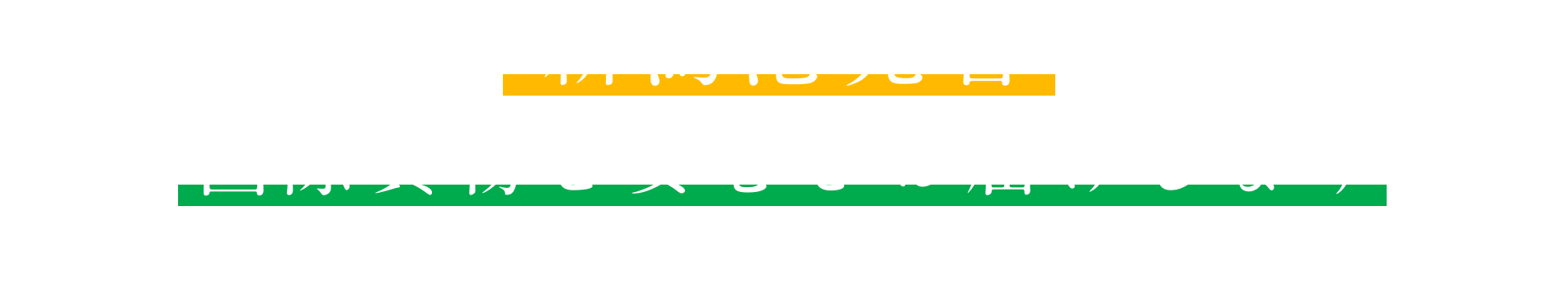 新潟港発着 国際貨物と安心をお届けします 輸出入なら中越運送